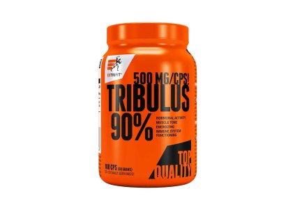 faf762d1 51ca 4985 bf55 8bac5adda159