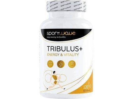 41ecdcda 165d 47ec a586 c90b1e9242e2