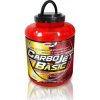 Amix CarboJet™ Basic 10 3000g koupíte na Nutrition-shop.cz