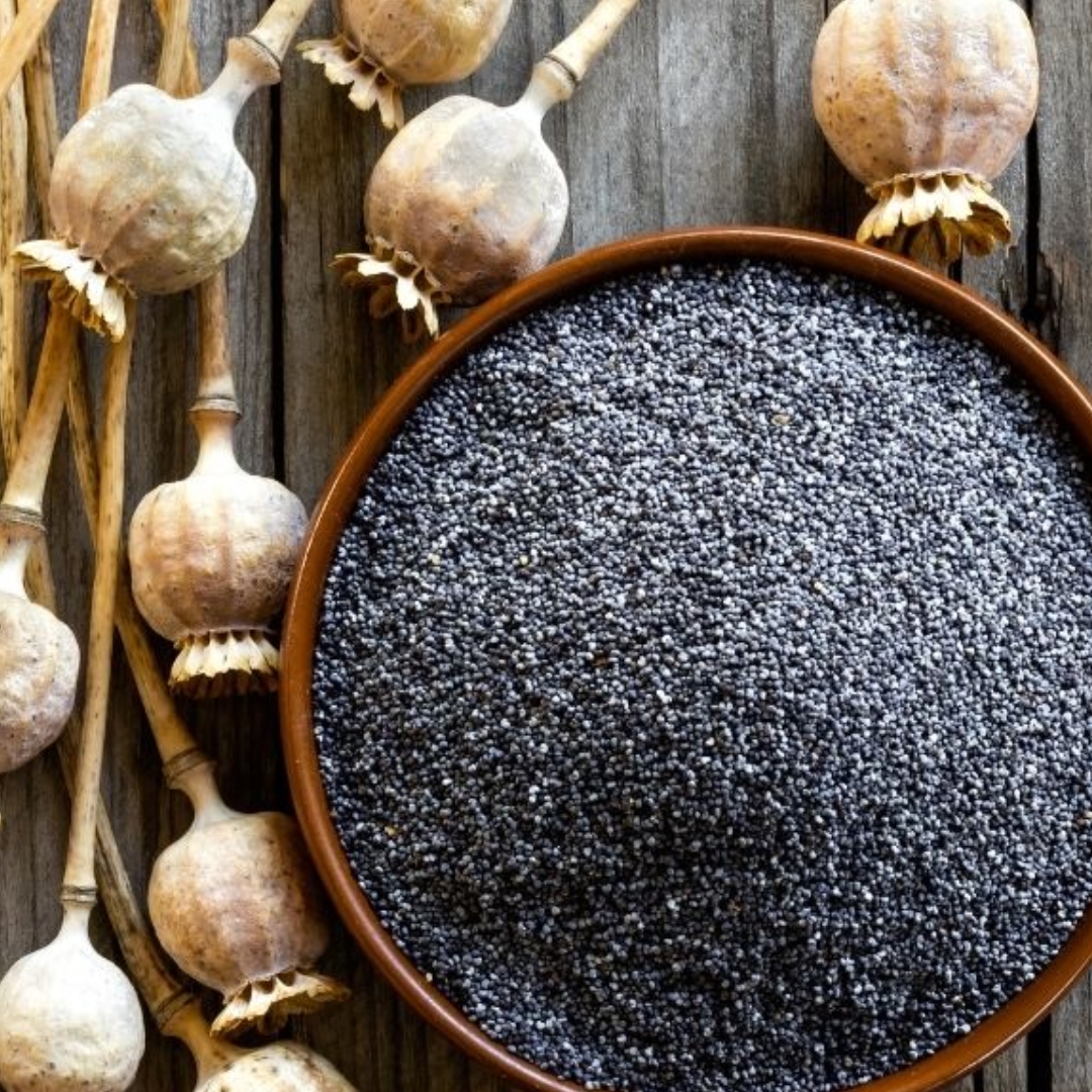 Mák – Výživová bomba plná vápníku a zdravých tuků