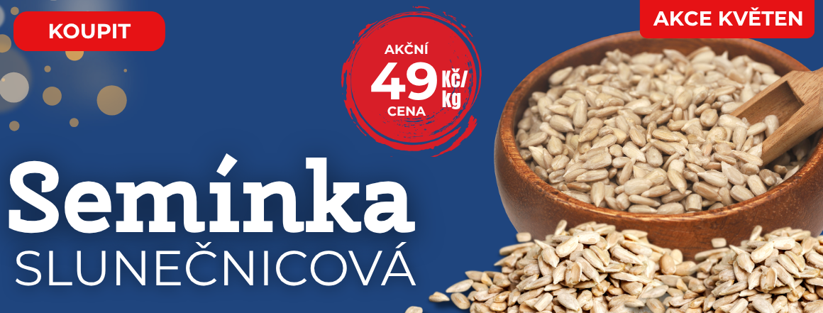 Zdravá snídaně pro milovníky zdravého jídla | Super akce na SLUNEČNICOVÁ semínka