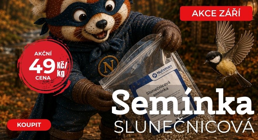 Zdravá snídaně pro milovníky zdravého jídla | Super akce na SLUNEČNICOVÁ semínka