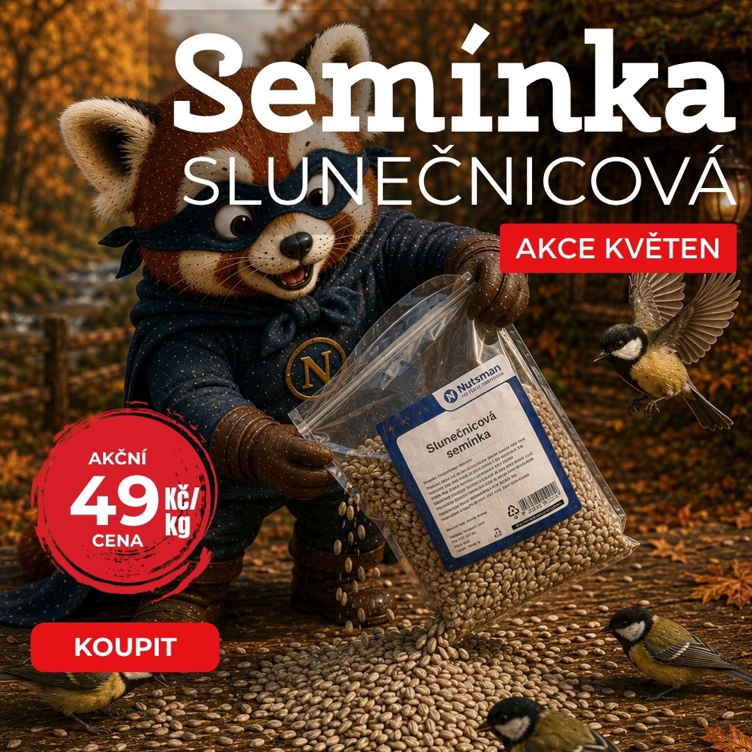 Zdravá snídaně pro milovníky zdravého jídla | Super akce na SLUNEČNICOVÁ semínka