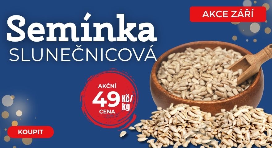 Zdravá snídaně pro milovníky zdravého jídla | Super akce na SLUNEČNICOVÁ semínka
