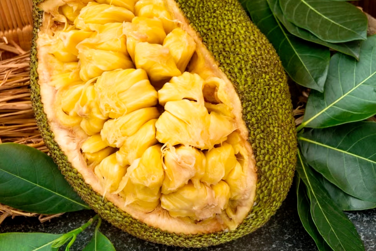 NUTSMAN BLOG_ Jackfruit_ Jak na exotické ovoce a jeho využití v kuchyni 2