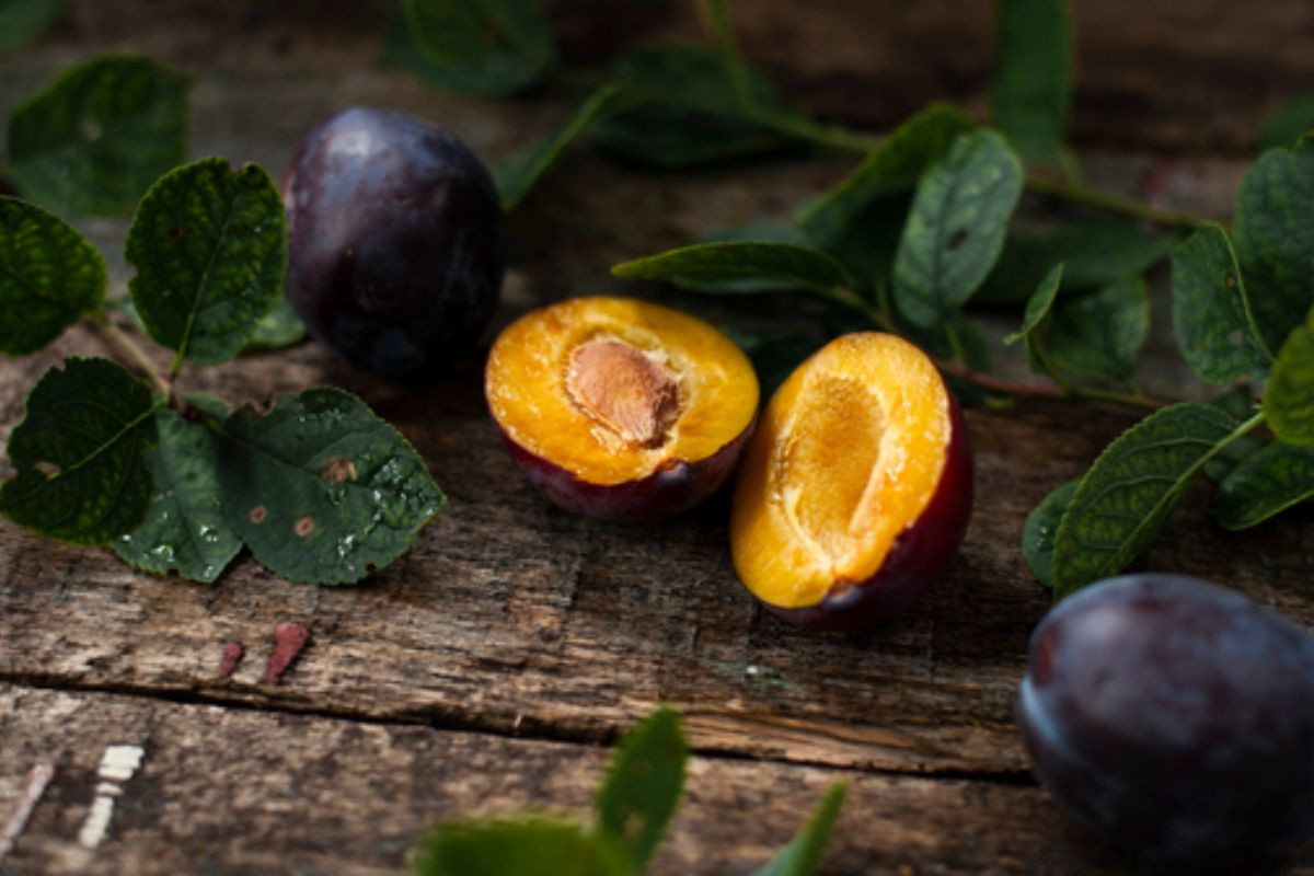 NUTSMAN BLOG RECEPT: Obrácený švestkový koláč s arašídovou moukou a kokosovým cukrem 11