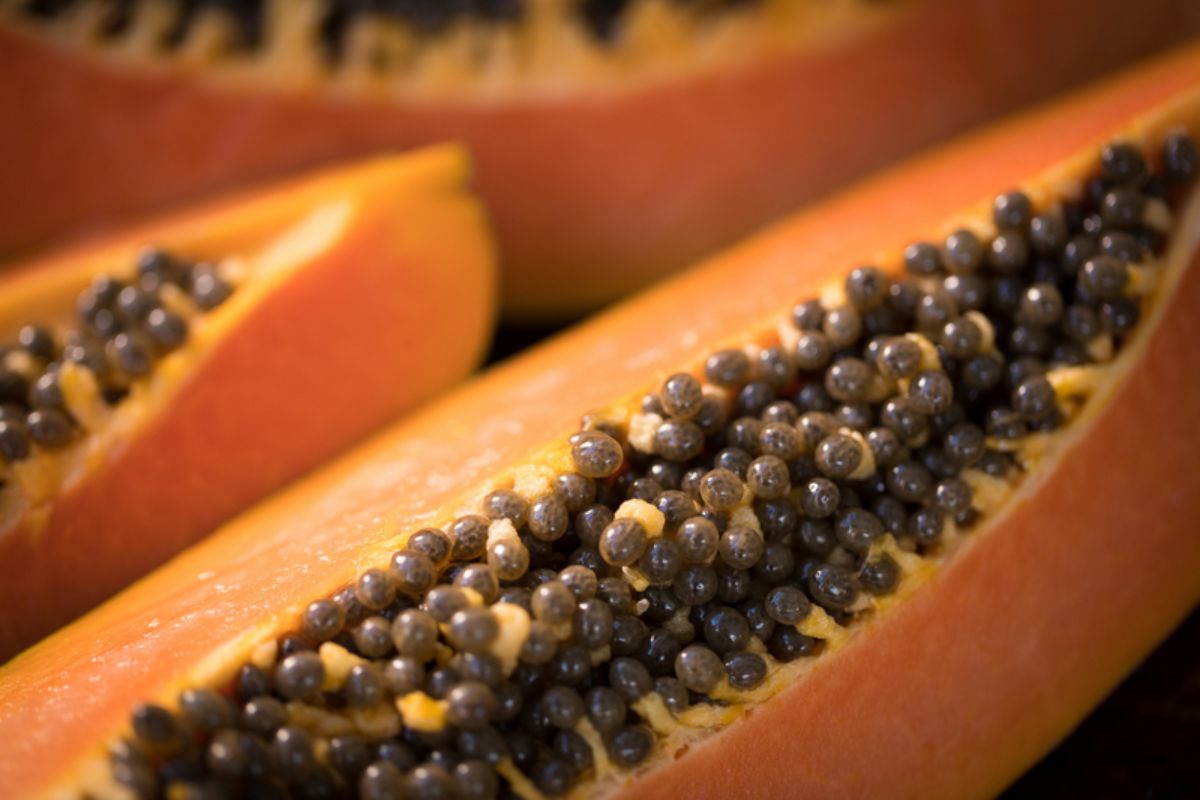 BLOG NUTSMAN Papája (papaya) Jak si ji nejlépe vychutnat 7