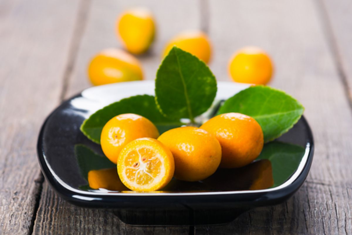NUTSMAN BLOG Malé ovoce s velkou chutí Kumquat jako exotická lahůdka 2