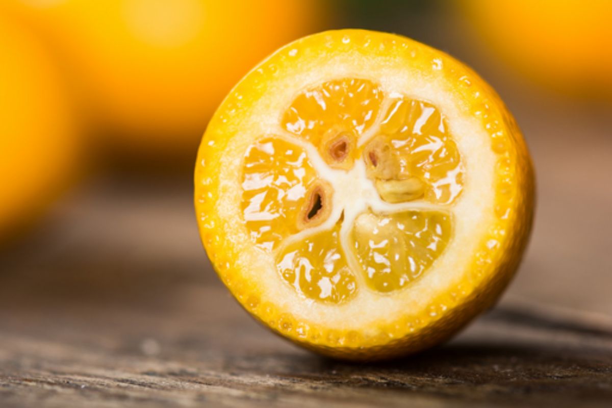 NUTSMAN BLOG Malé ovoce s velkou chutí Kumquat jako exotická lahůdka 11