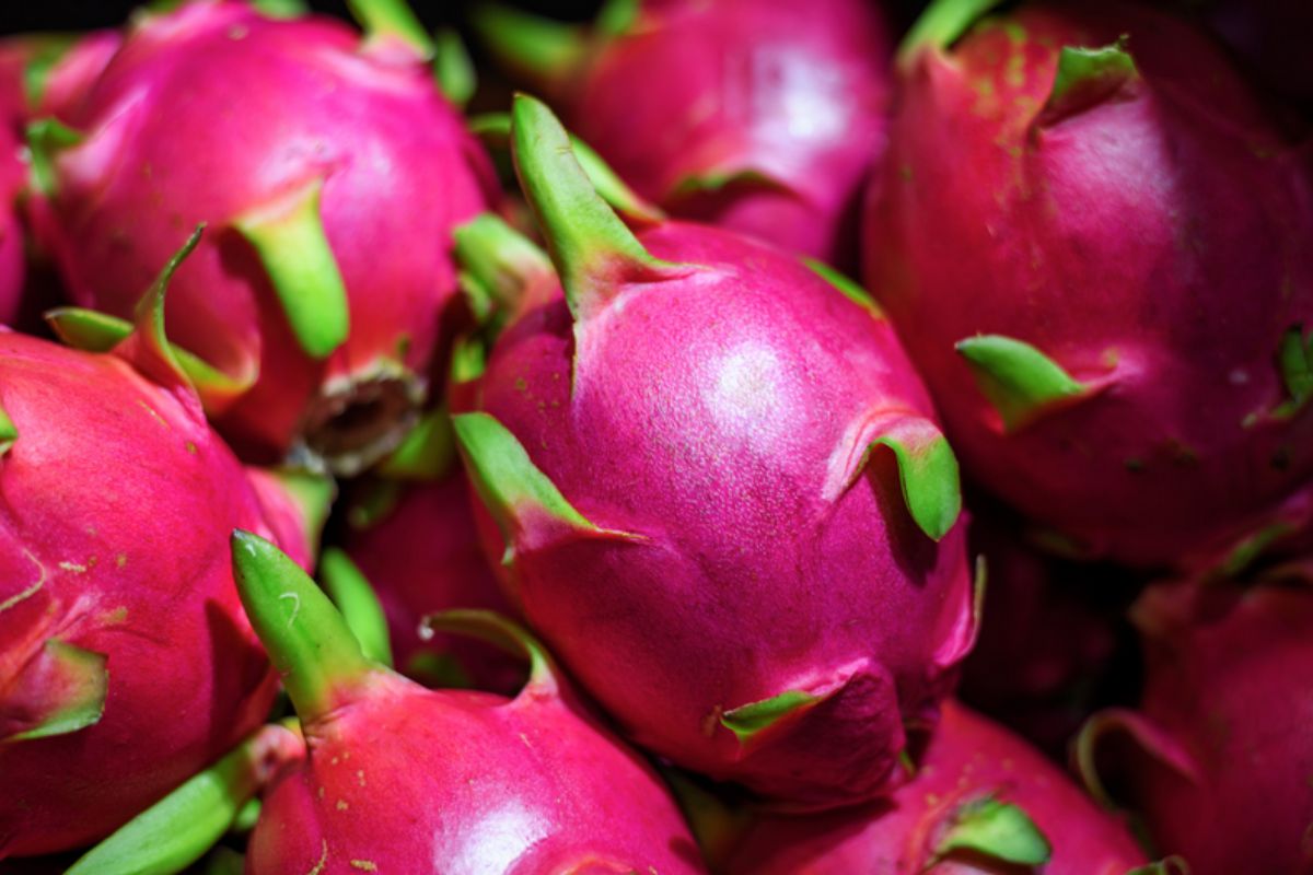 NUTSMAN BLOG Pitahaya - dračí ovoce Exotická lahůdka plná vitaminů 23