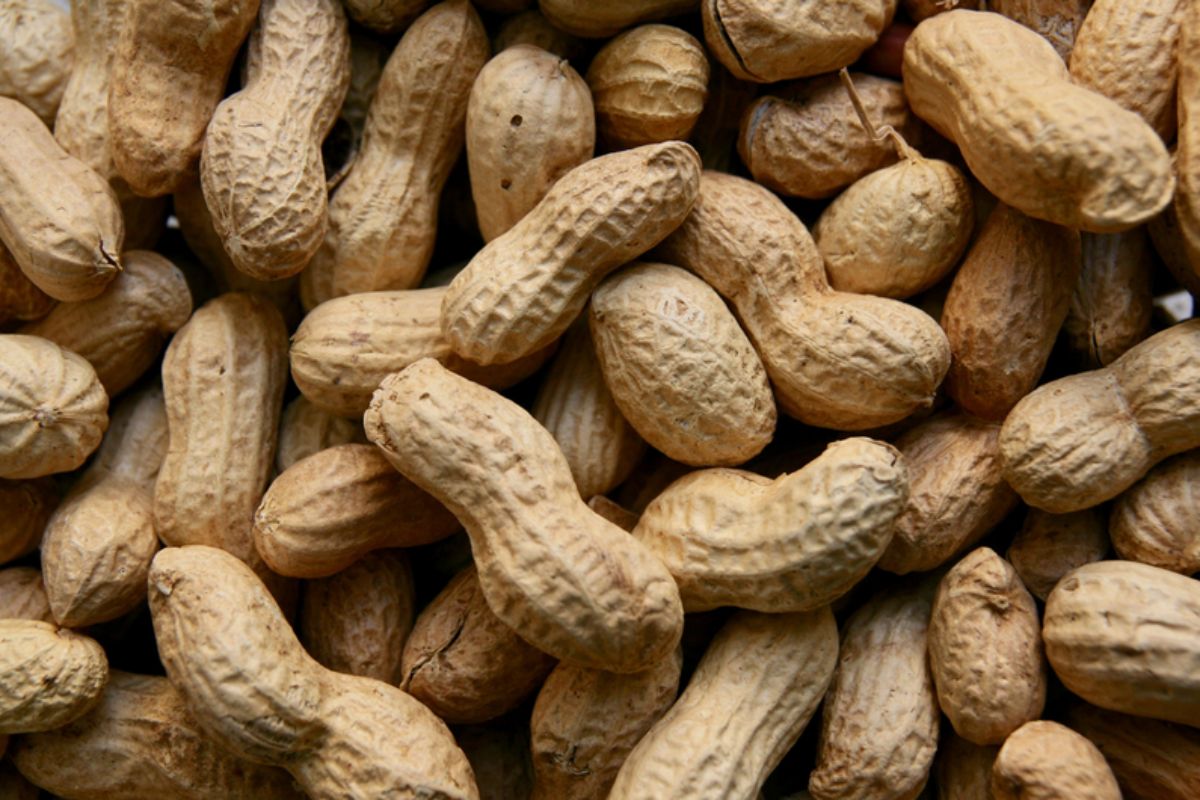 NUTSMAN BLOG Podzemnice olejná Skvělá ingredience pro vaše jídla 9