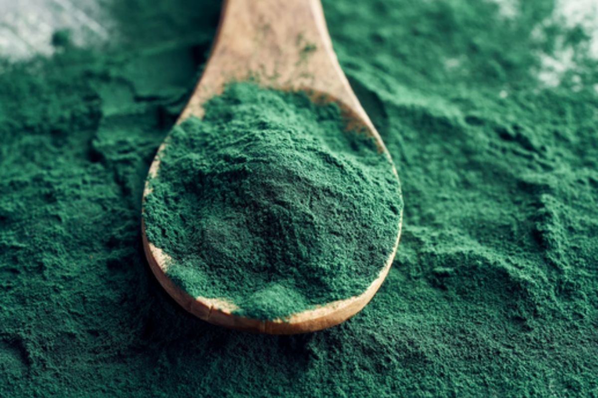 NUTSMAN BLOG Spirulina Superpotravina pro vaše zdraví 2