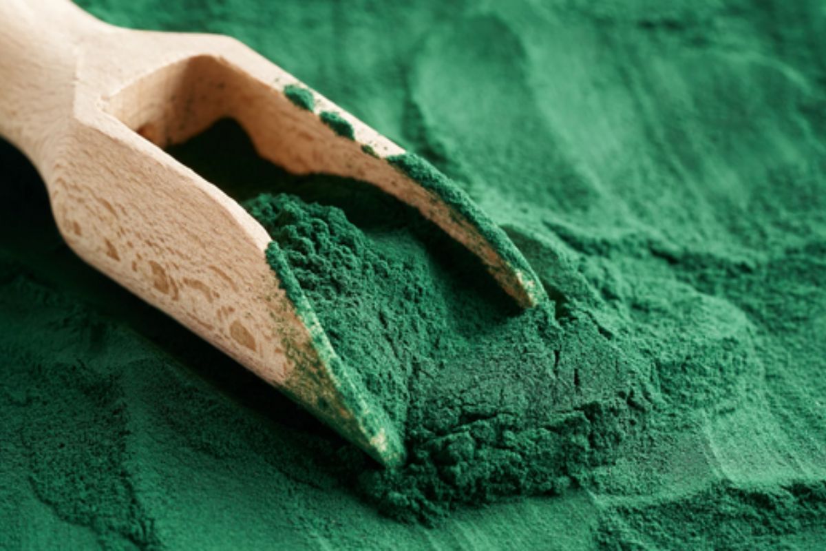 NUTSMAN BLOG Spirulina Superpotravina pro vaše zdraví 5