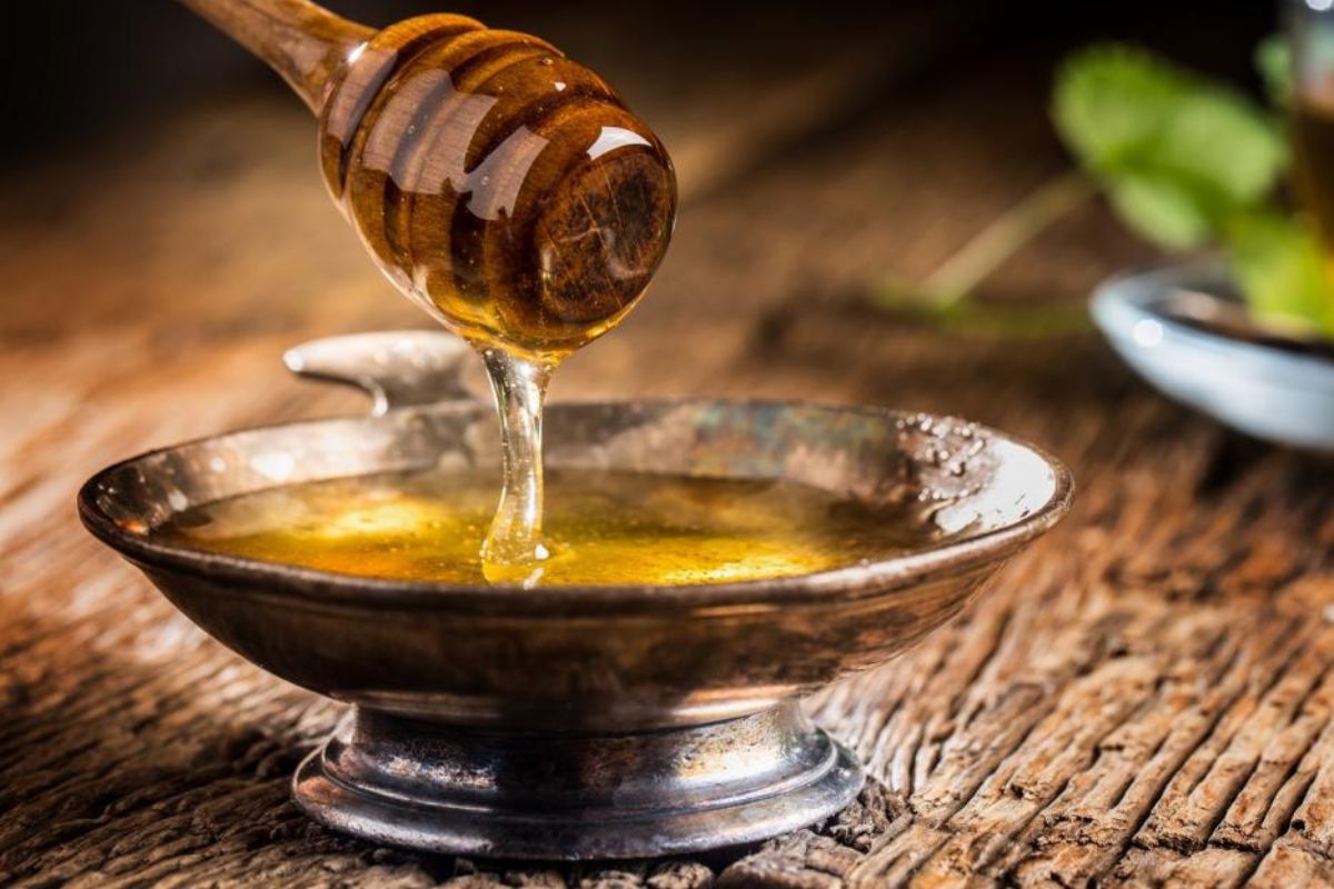 NUTSMAN BLOG Jak používat čekankový sirup ve vaší kuchyni 2