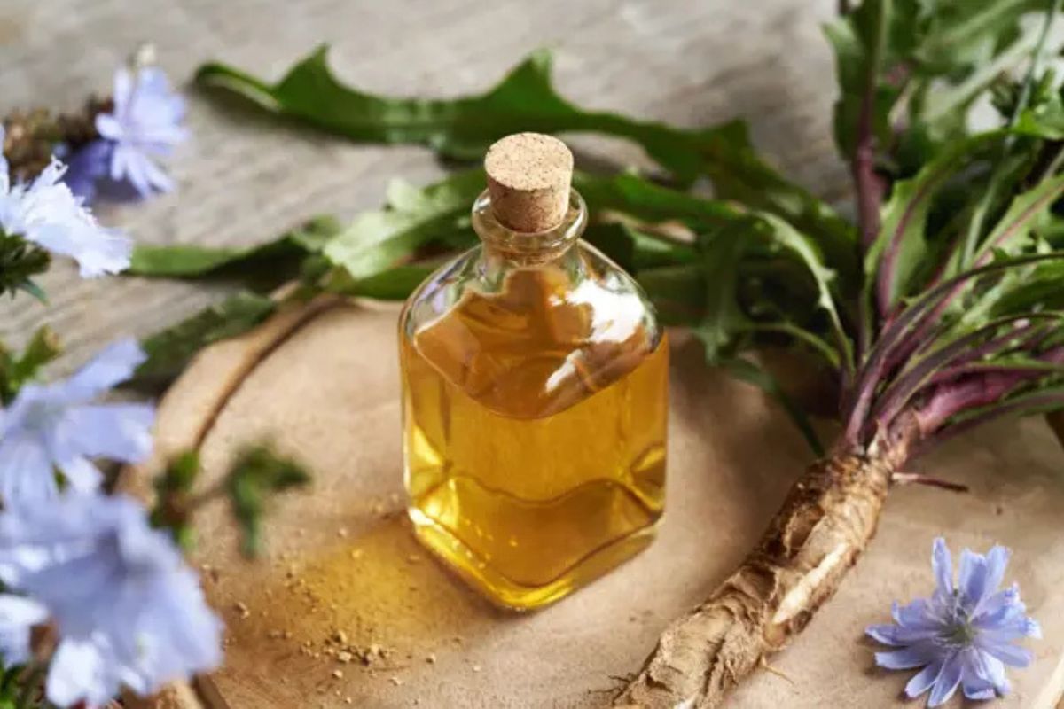 NUTSMAN BLOG Jak používat čekankový sirup ve vaší kuchyni 13 