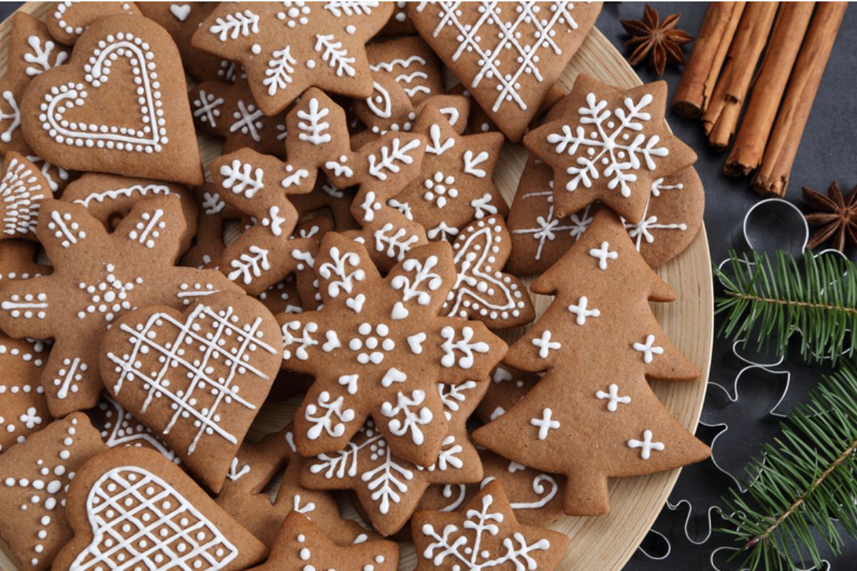 HealthyCo Proteinella Gingerbread 360 g
