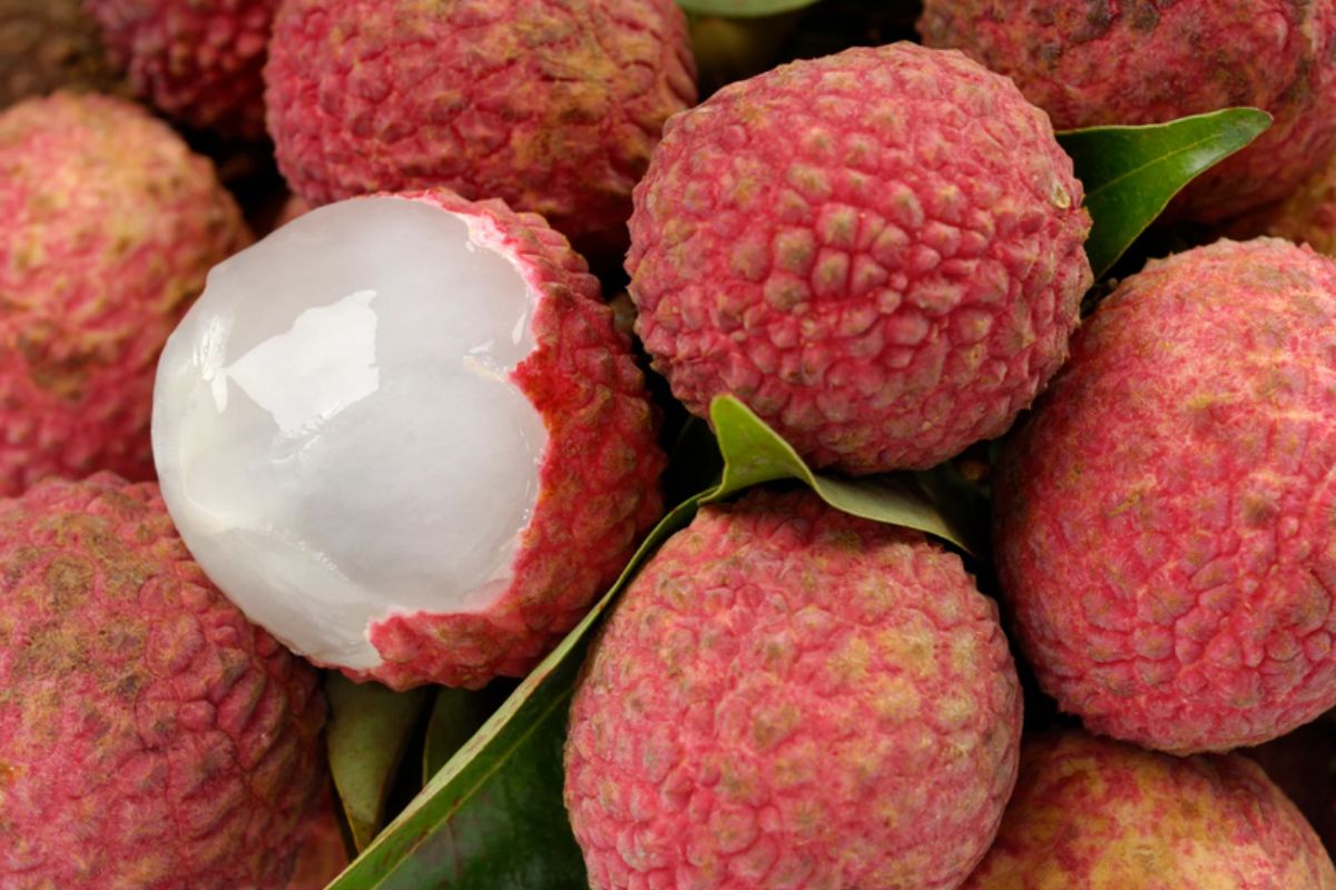 NUTSMAN BLOG Longan Exotické ovoce plné zdraví 13