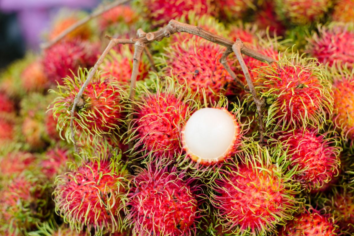 NUTSMAN BLOG Longan Exotické ovoce plné zdraví 14