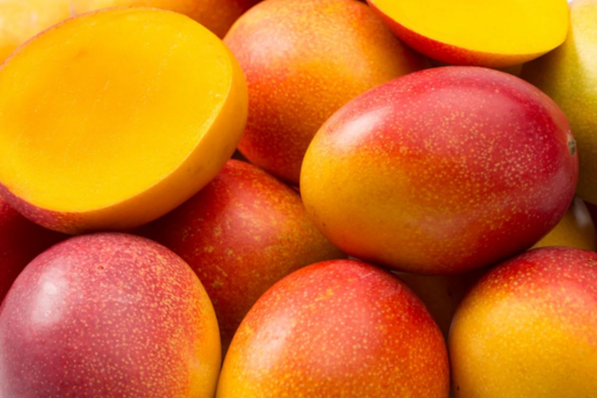 NUTSMAN BLOG Mango Královské ovoce plné chuti 2