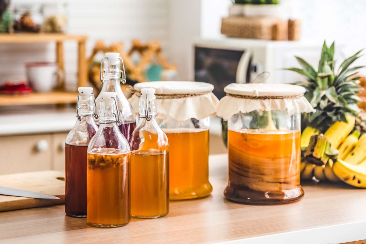 NUTSMAN BLOG Kombucha_ Jak připravit a proč ji pít každý den 2