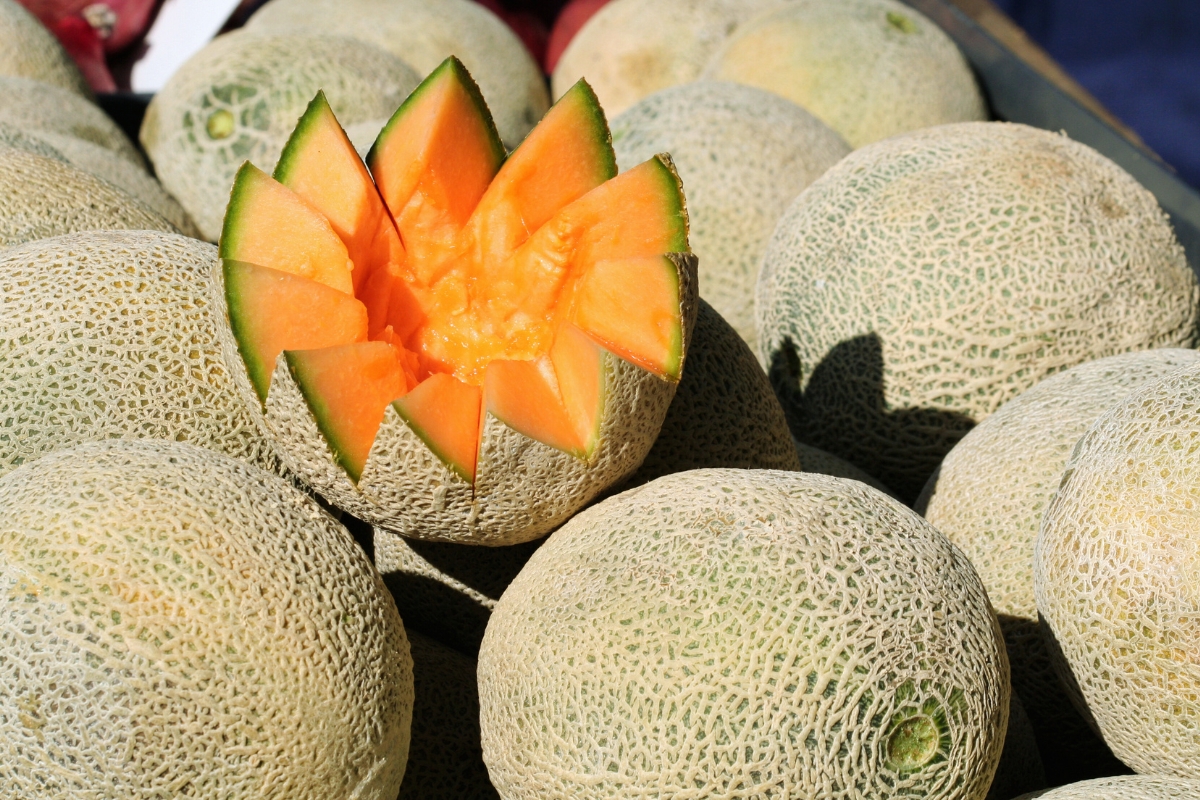 NUTSMAN BLOG Cantaloupe_ Letní meloun plný osvěžující chuti 2