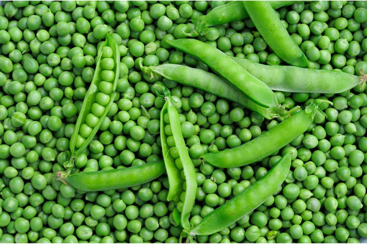 NUTSMAN BLOG Hrášek v kuchyni inspirace pro rychlé a chutné recepty 2