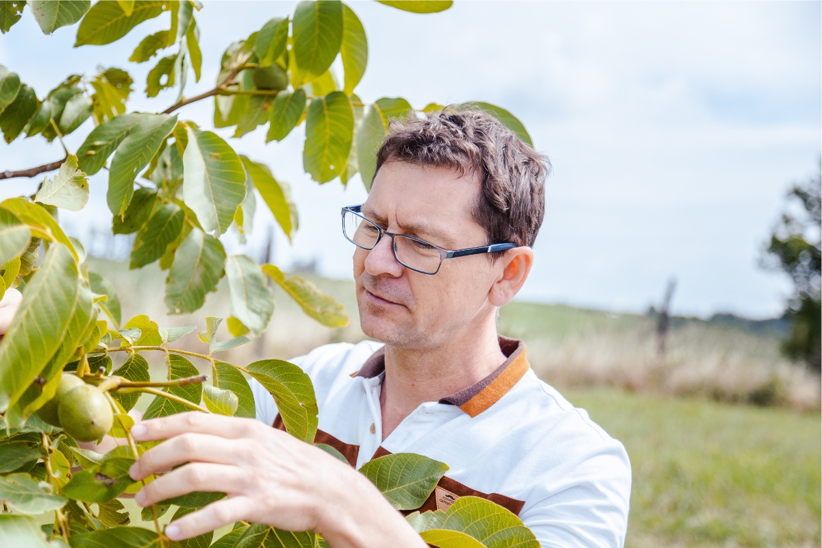 NUTSMAN Od sadu k řemeslu 2