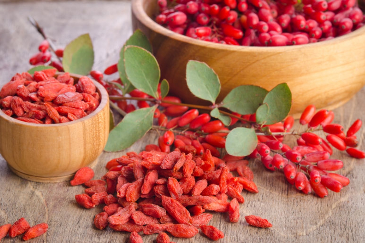 NUTSMAN BLOG Kustovnice čínská – Tajemství goji pro zdraví a dlouhověkost 2