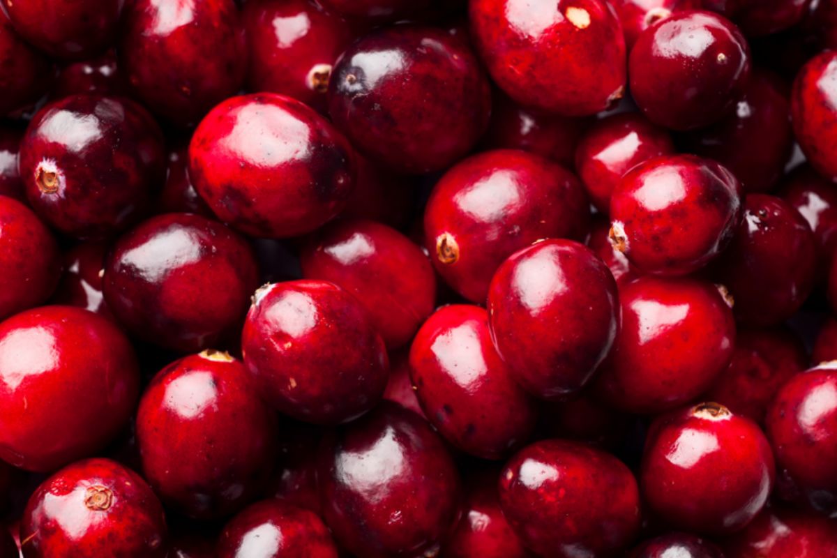 NUTSMAN BLOG Klikva Neobvyklá kombinace chutí v jednom plodu 18