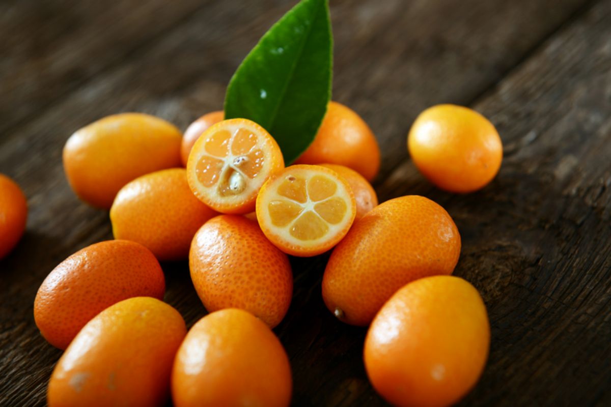 NUTSMAN Kumquat proslazovaný 2