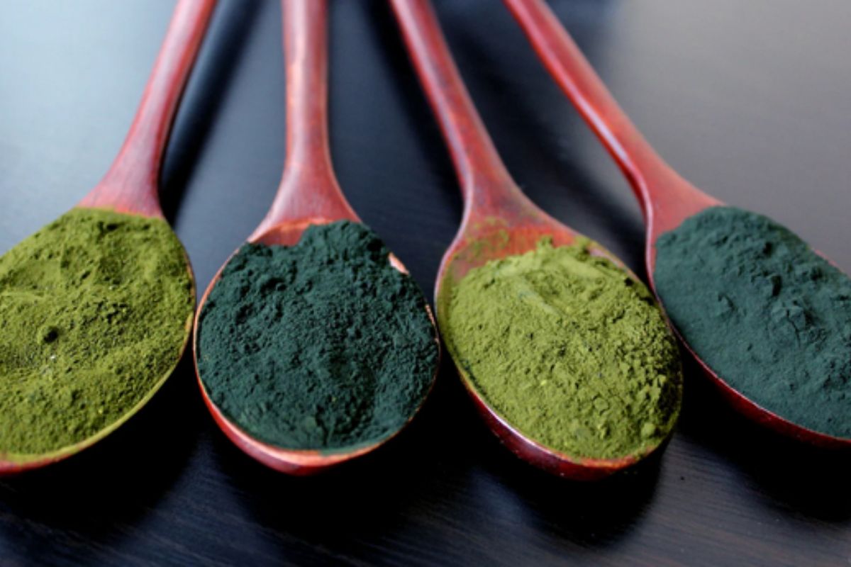 NUTSMAN BLOG Spirulina Superpotravina pro vaše zdraví 6