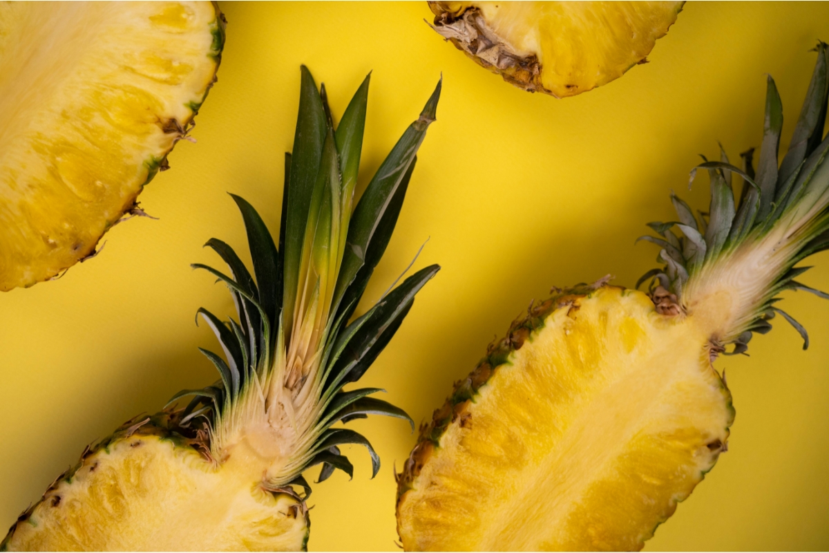 NUTSMAN BLOG Ananas_ Jak roste a co vše s ním můžete vytvořit 3