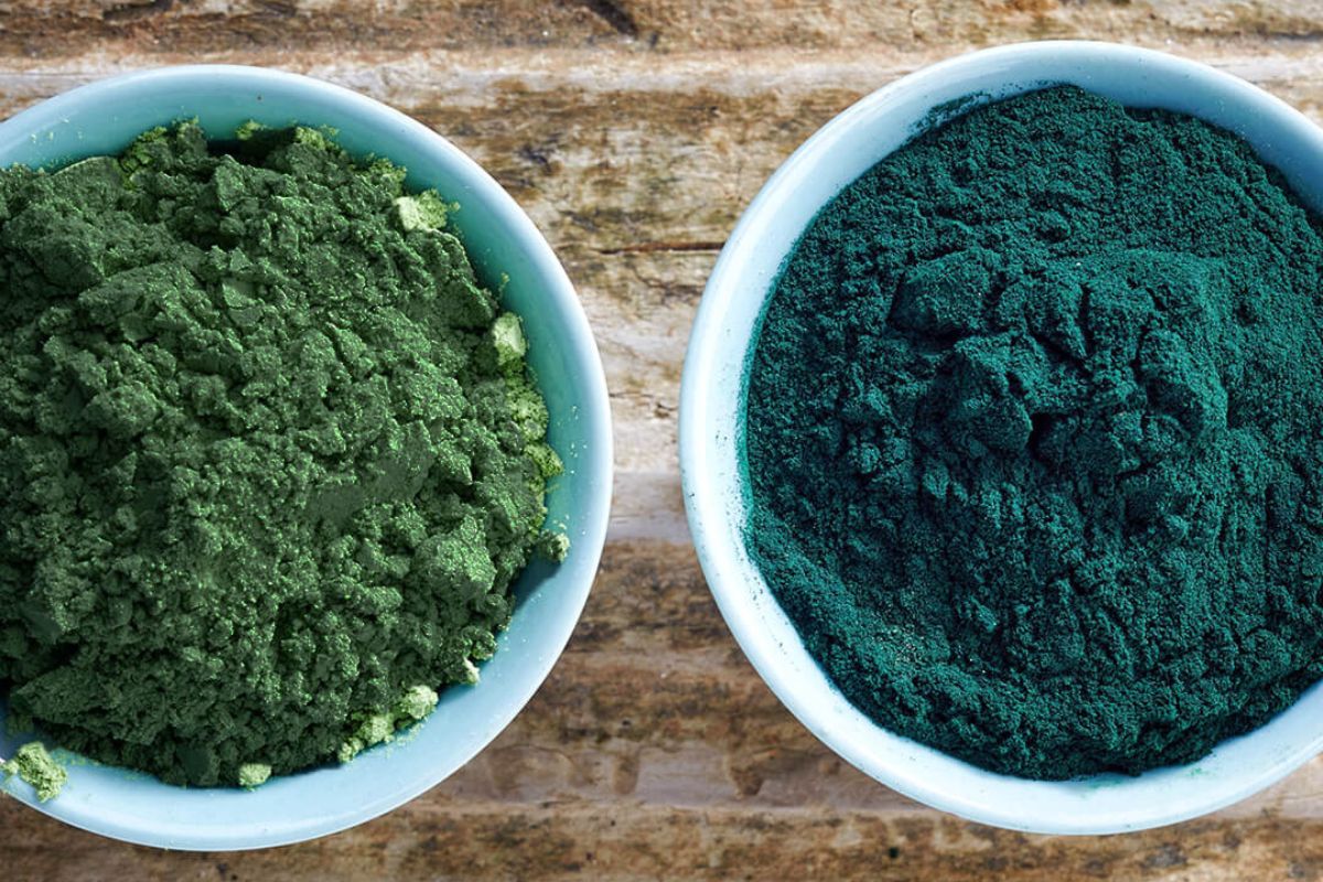NUTSMAN BLOG Spirulina Superpotravina pro vaše zdraví 7