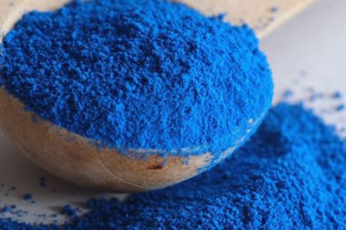 NUTSMAN BLOG Spirulina Superpotravina pro vaše zdraví 10