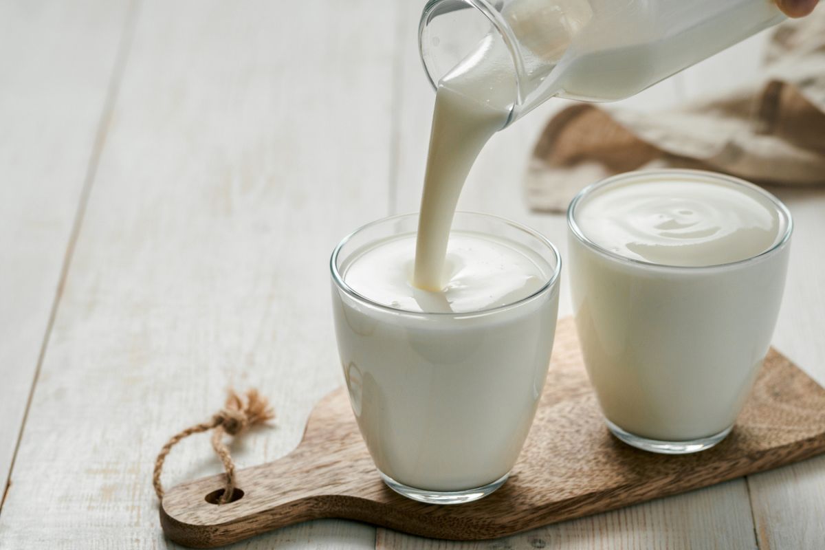 NUTSMAN BLOG Luxusní kefírová bábovka Recept, který si zamilujete 10