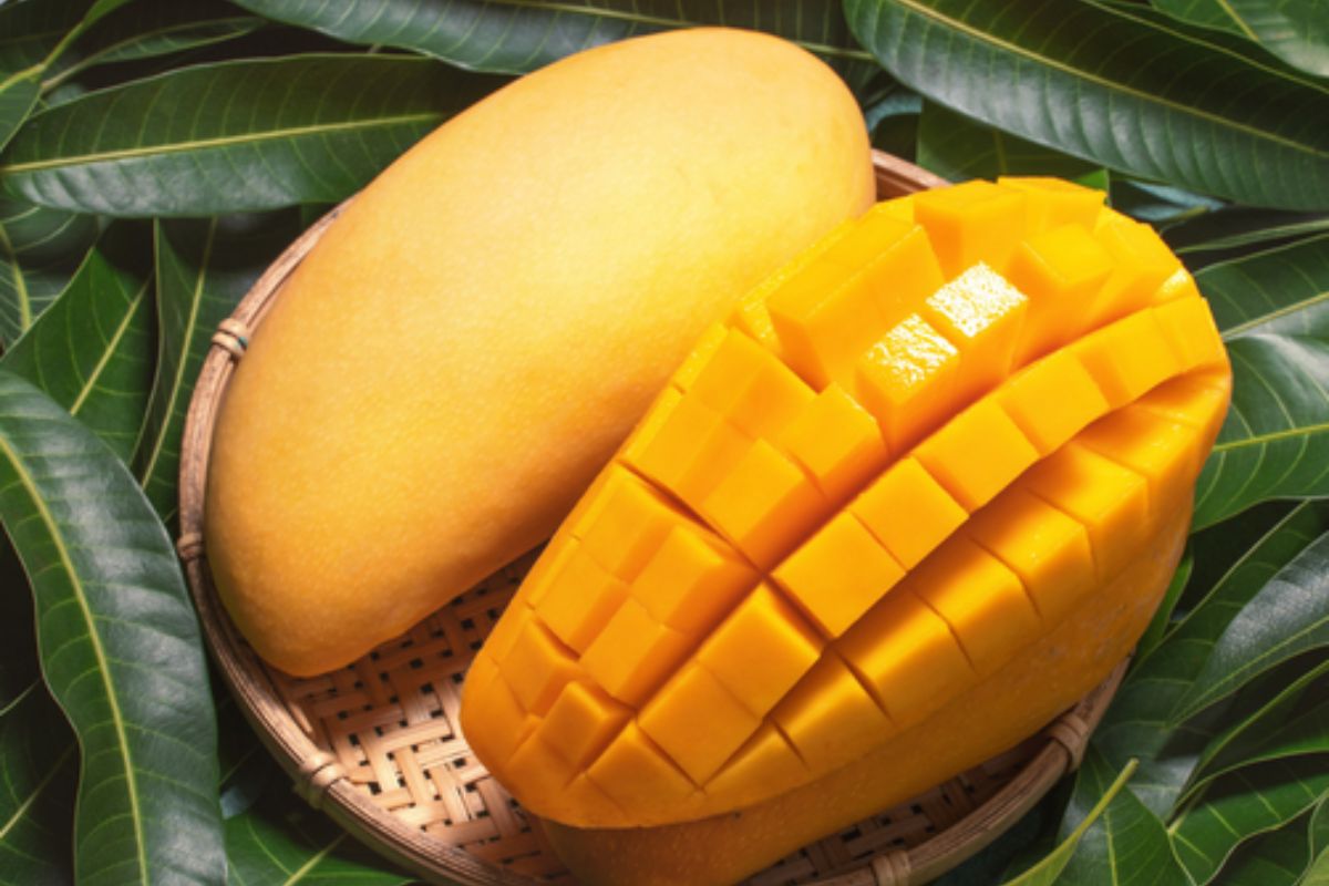 NUTSMAN BLOG Mango Královské ovoce plné chuti 6