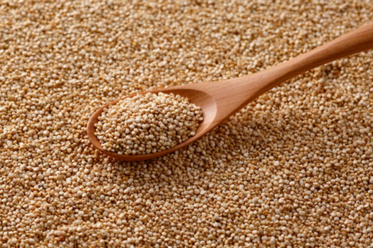 NUTSMAN BLOG Quinoa_ Zázračná obilovina pro zdravý životní styl 14
