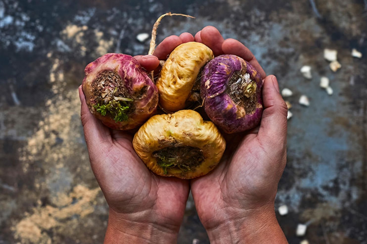 NUTSMAN BLOG Maca peruánská – Přírodní elixír vitality a hormonální rovnováhy 4