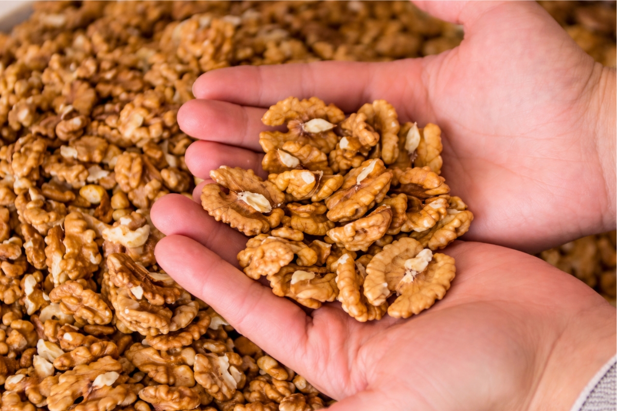 NUTSMAN BLOG Nejlepší kombinace sušeného ovoce a ořechů do domácích energy tyčinek 5