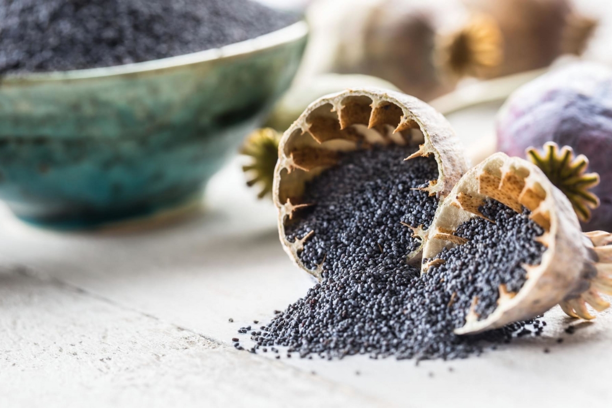 NUTSMAN BLOG Mák – Výživová bomba plná vápníku a zdravých tuků 5