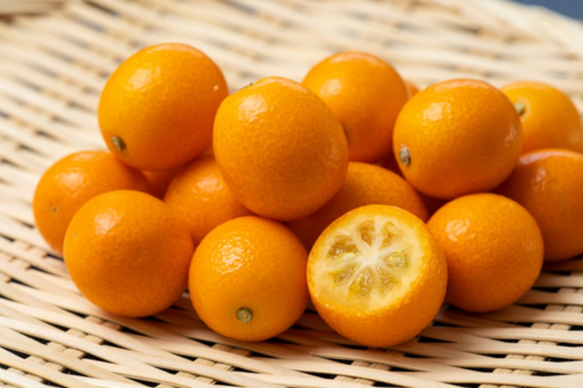 NUTSMAN BLOG Malé ovoce s velkou chutí Kumquat jako exotická lahůdka 5