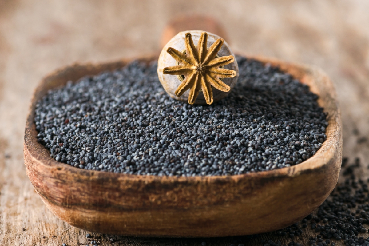 NUTSMAN BLOG Mák – Výživová bomba plná vápníku a zdravých tuků 6