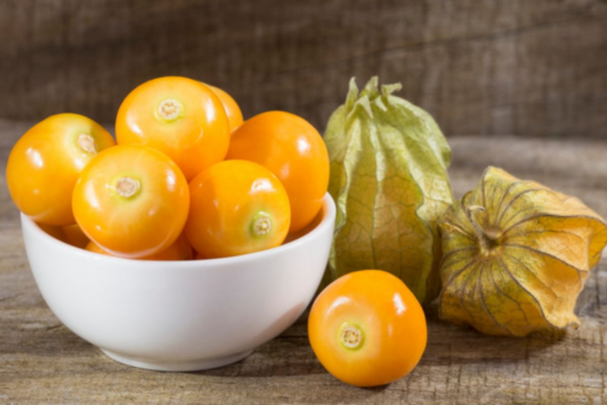 NUTSMAN BLOG Malé ovoce s velkou chutí Kumquat jako exotická lahůdka 15