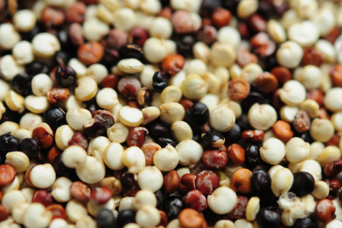 NUTSMAN BLOG Quinoa_ Zázračná obilovina pro zdravý životní styl 6