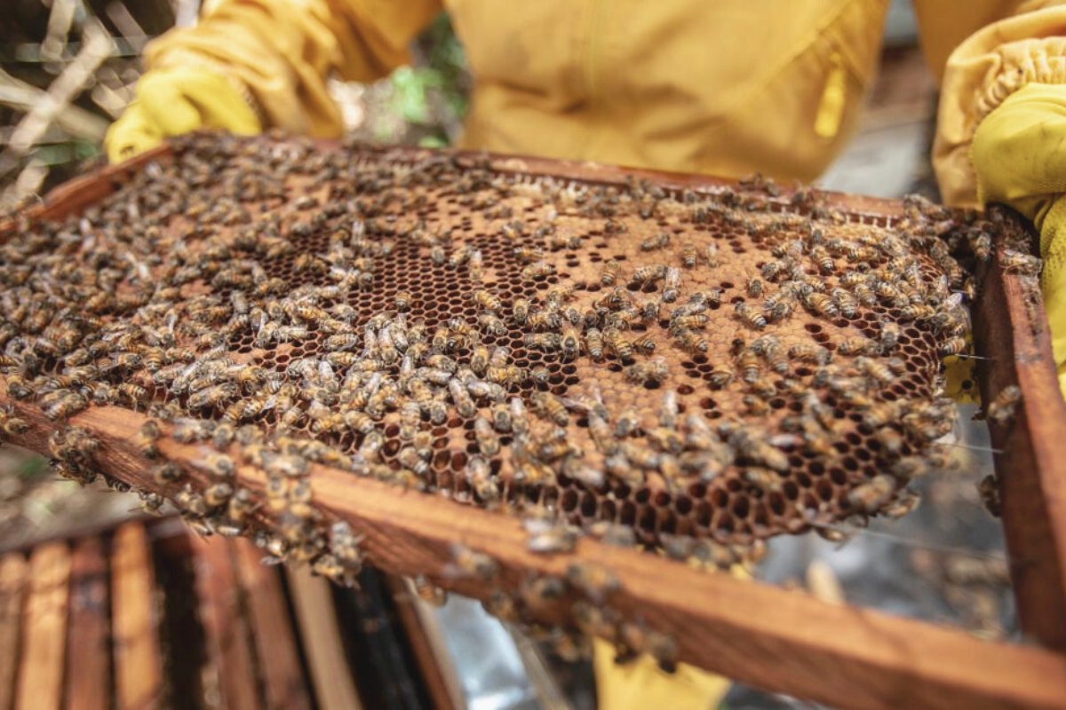 NUTSMAN Pomáháme malým značkám 4