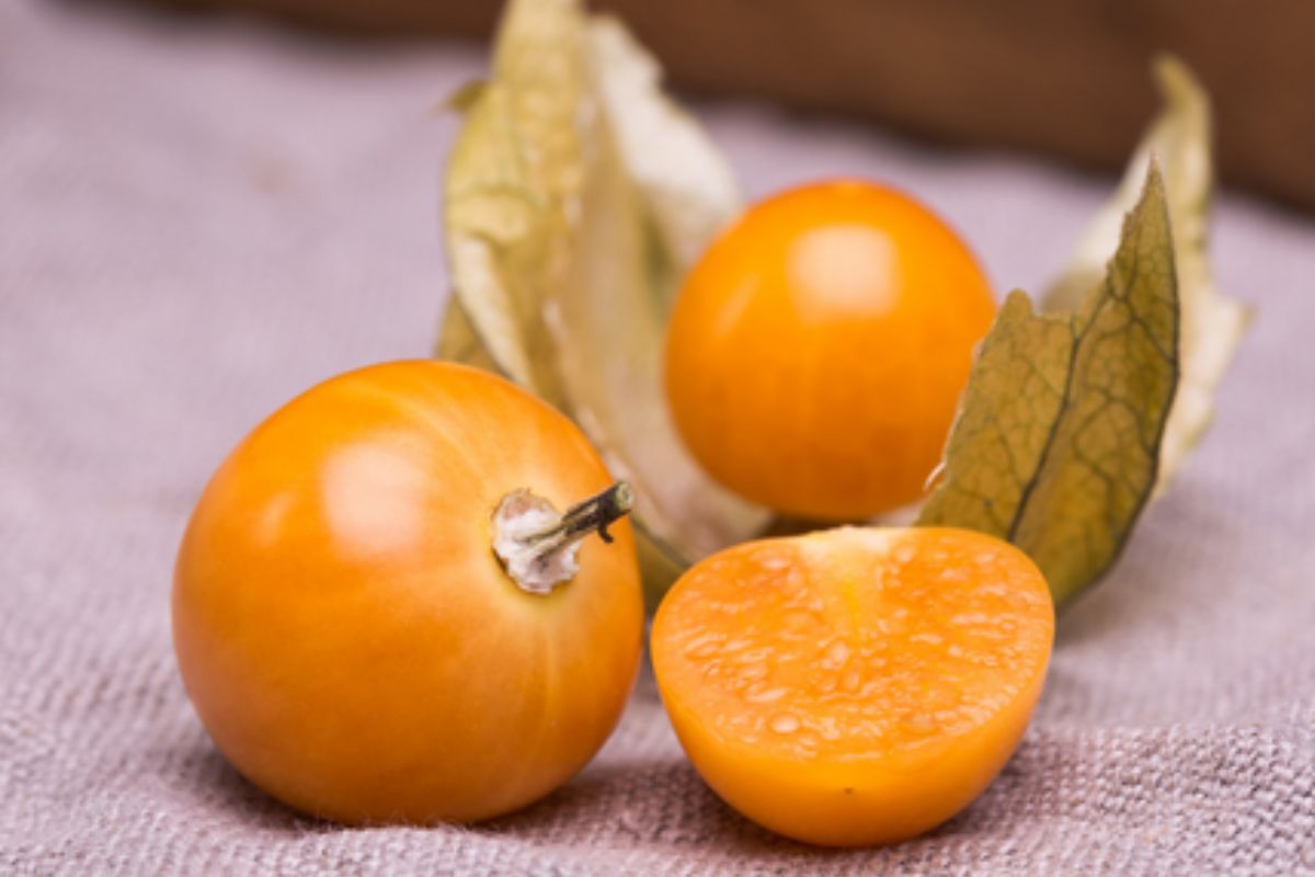 NUTSMAN BLOG Malé ovoce s velkou chutí Kumquat jako exotická lahůdka 16