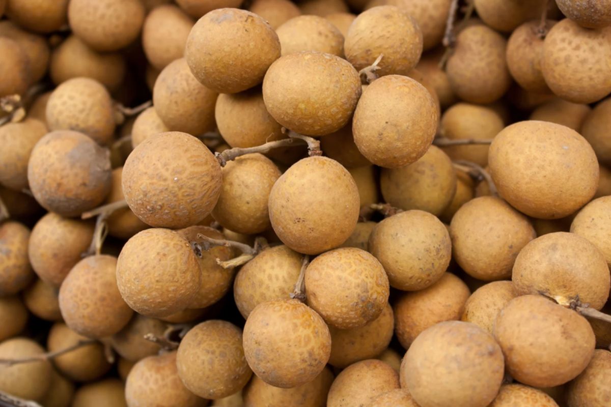 NUTSMAN BLOG Longan Exotické ovoce plné zdraví 8
