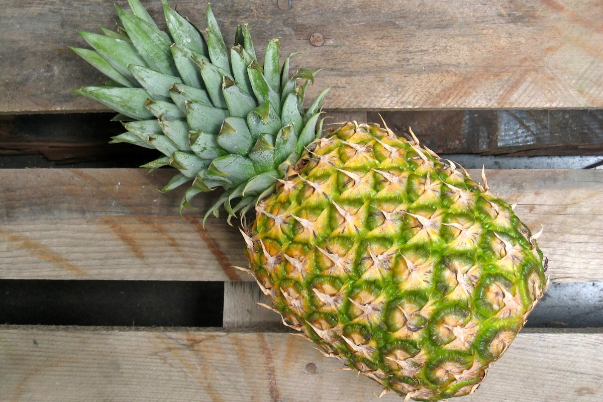 NUTSMAN BLOG Ananas_ Jak roste a co vše s ním můžete vytvořit 8