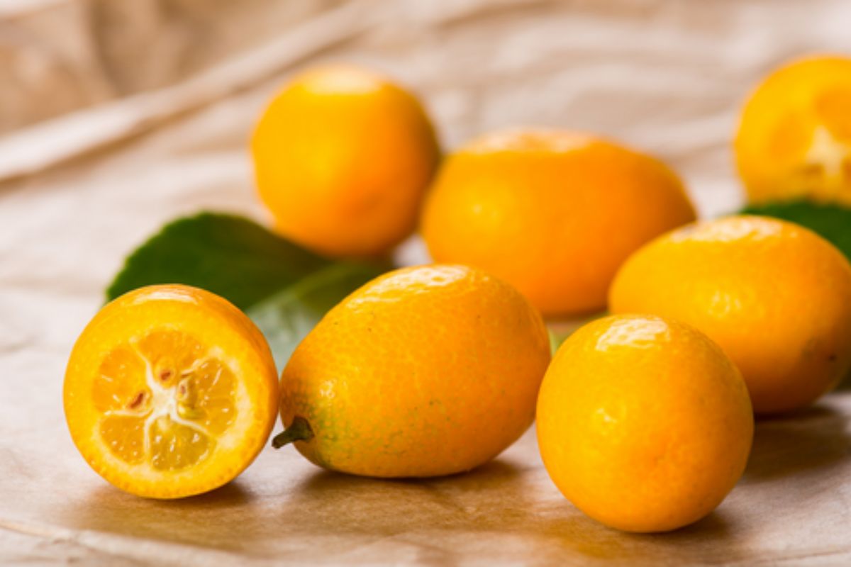 NUTSMAN BLOG Malé ovoce s velkou chutí Kumquat jako exotická lahůdka 9