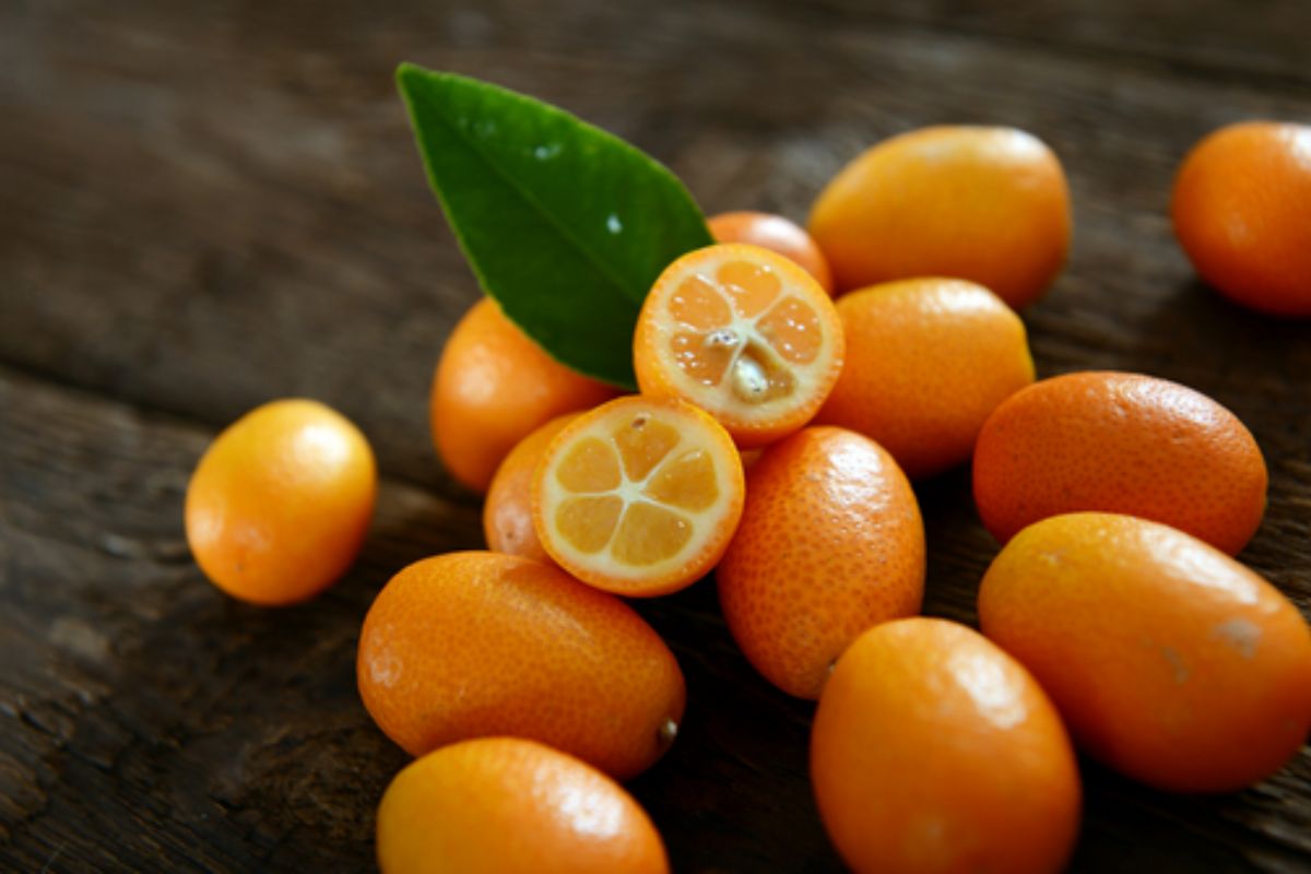 NUTSMAN BLOG Malé ovoce s velkou chutí Kumquat jako exotická lahůdka 18